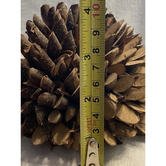 Natural Handmade Hedgehog Wooden Cute Outdoor Friend - Picture 13 of 15